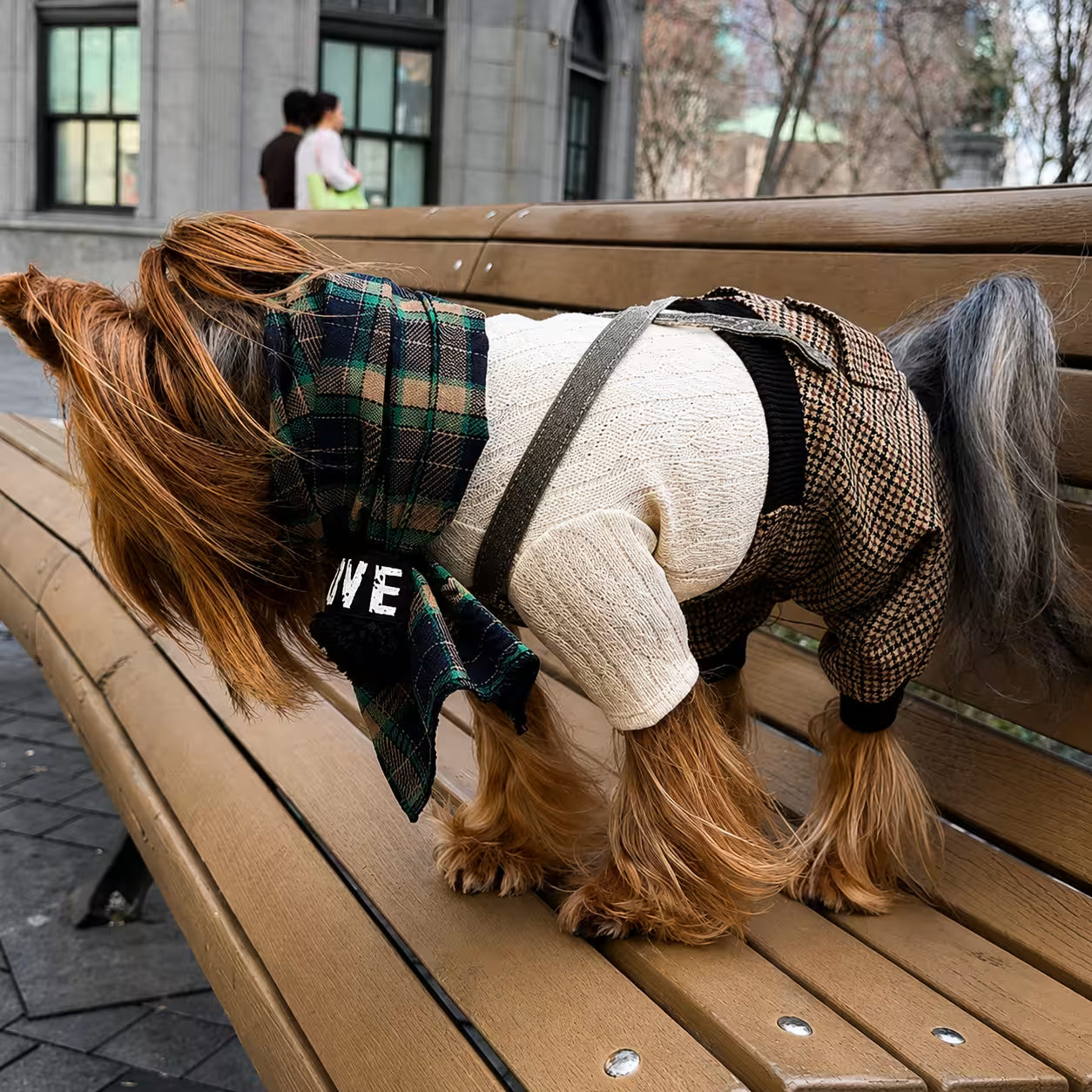 Jersey Knit Dog Sweater Archie