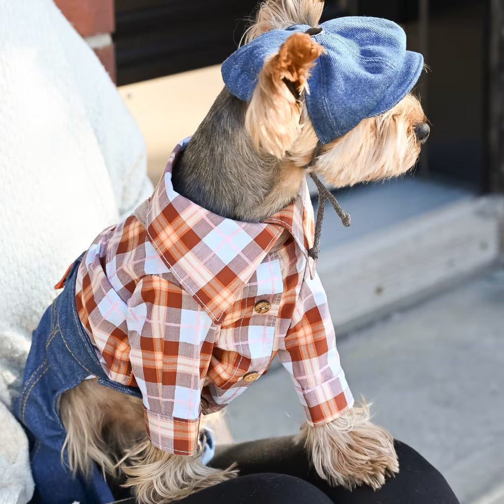 Small Dog Shirt