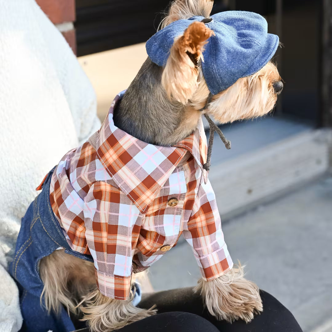 Small Dog Shirt