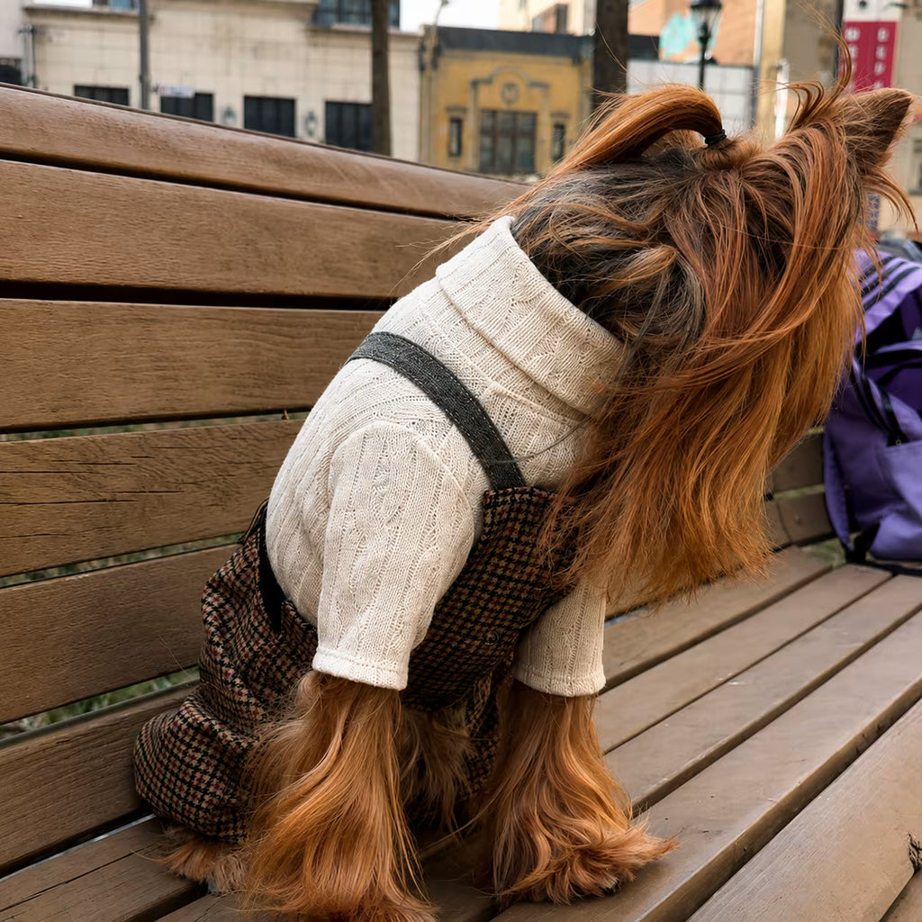 Jersey Knit Dog Sweater Archie