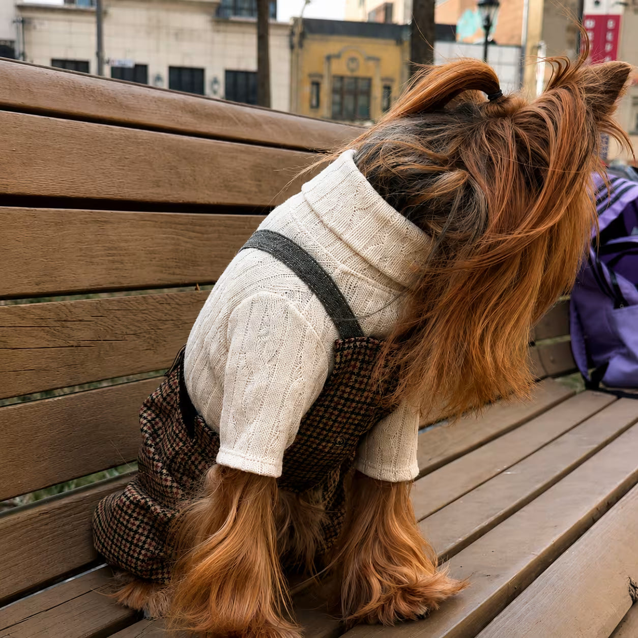 Jersey Knit Dog Sweater Archie