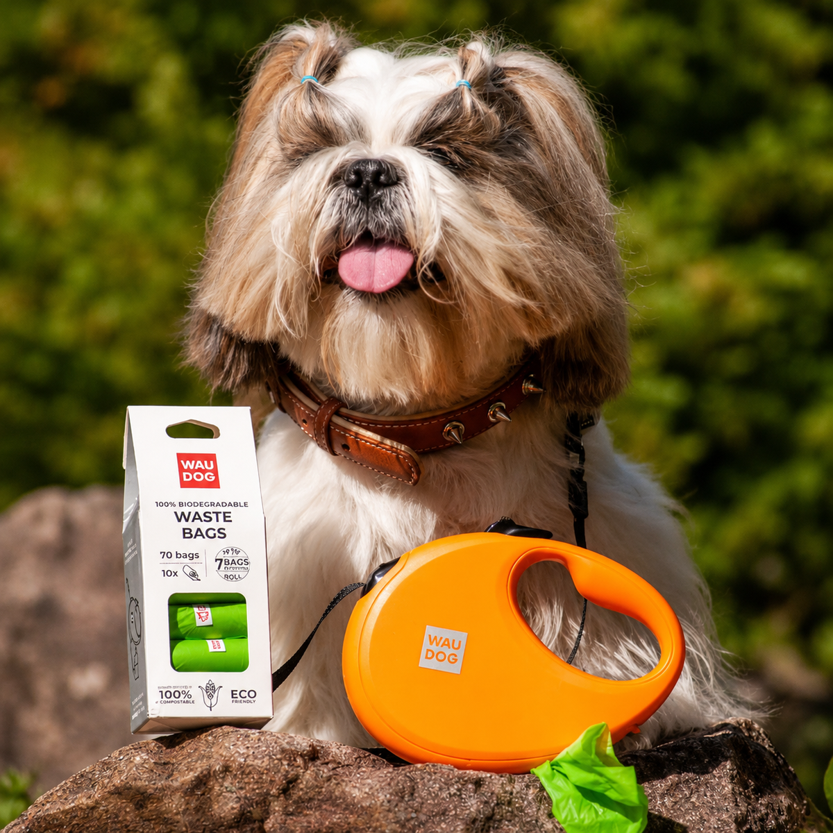 Retractable Dog Leash
