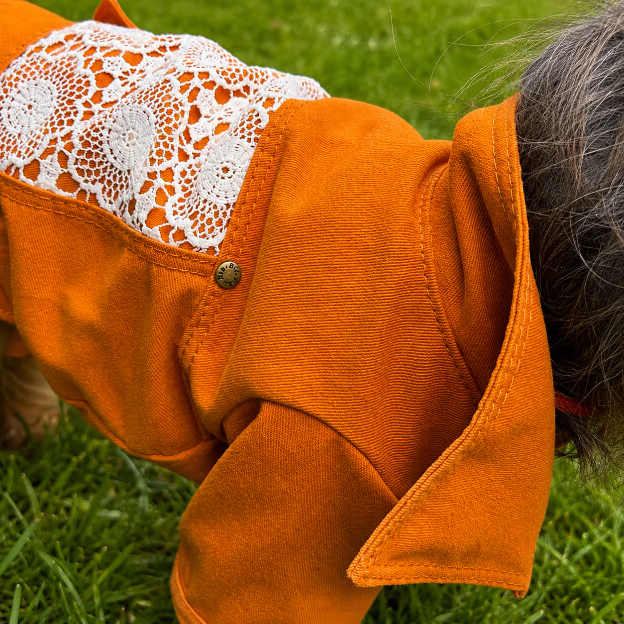 Designer Denim Dog Jacket & Pants Set with Lace