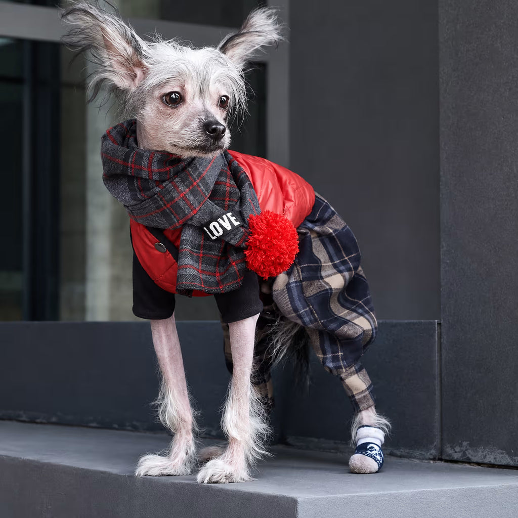 Scottish Wool Dog Scarf
