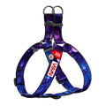 Nylon Dog Harness with Smart QR ID Tag - NASA21 Collection