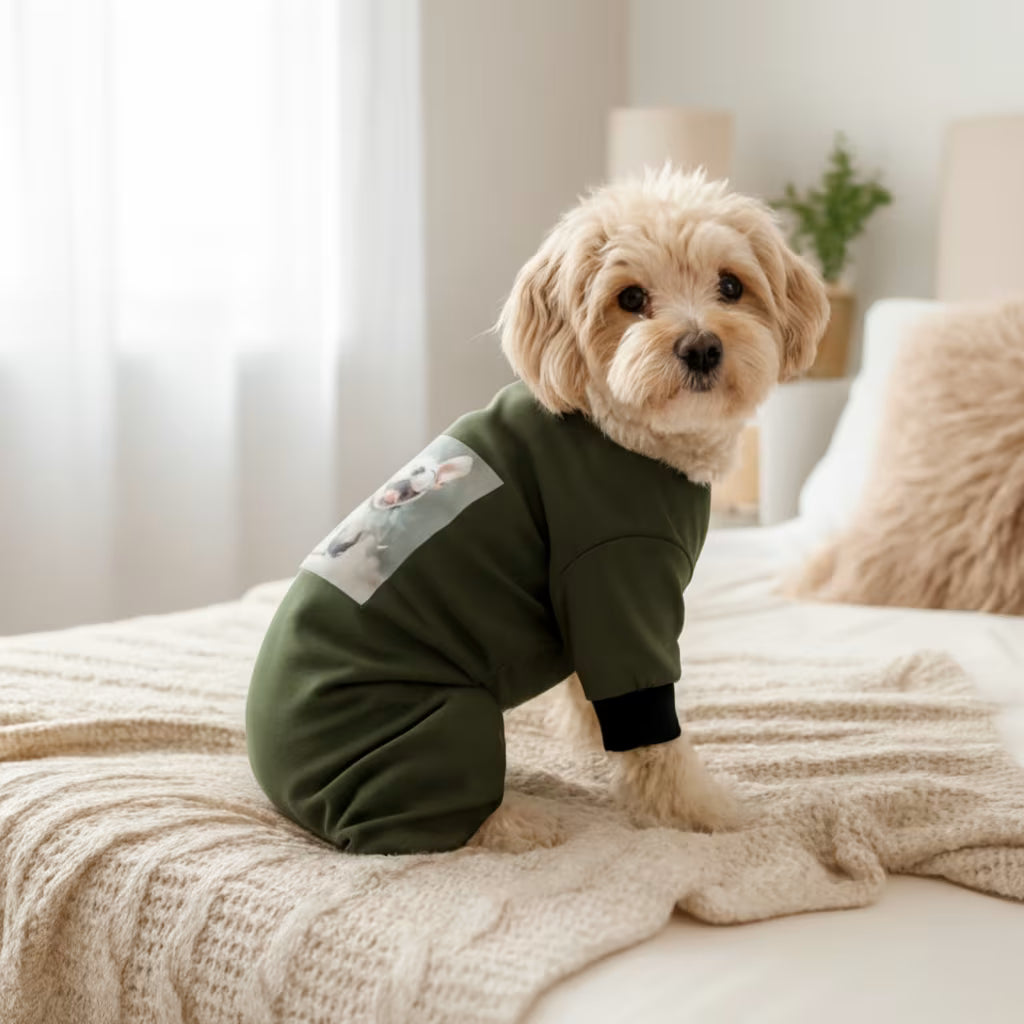 Cozy Knit Dog Jumpsuit