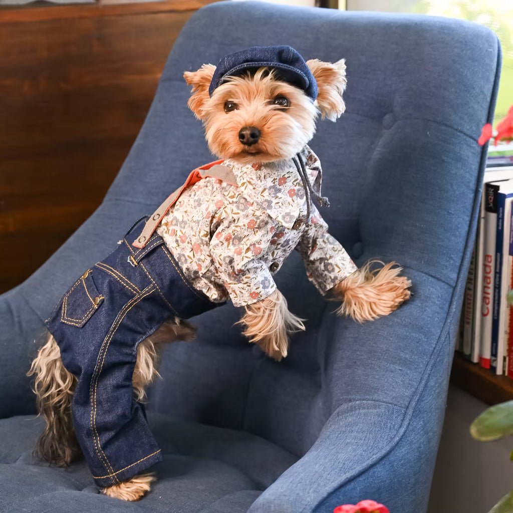 Jeans and Cap Denim Set for Small Dogs