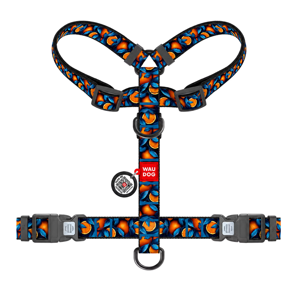 H-Harness Dog Harness with QR ID Tag – Monsters & Oranges Collection