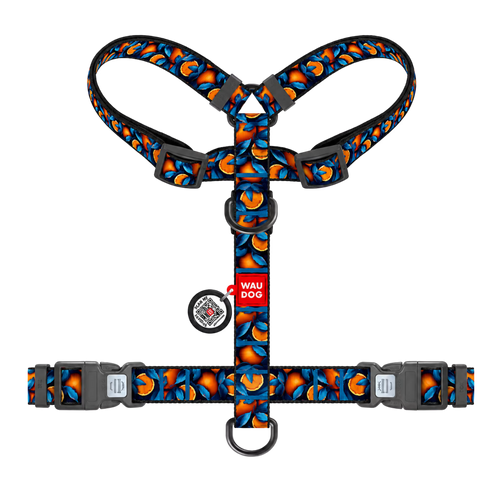 H-Harness Dog Harness with QR ID Tag – Monsters & Oranges Collection
