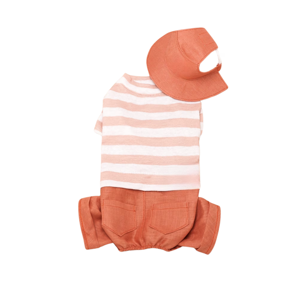 Dog Outfit with Matching Sun Hat