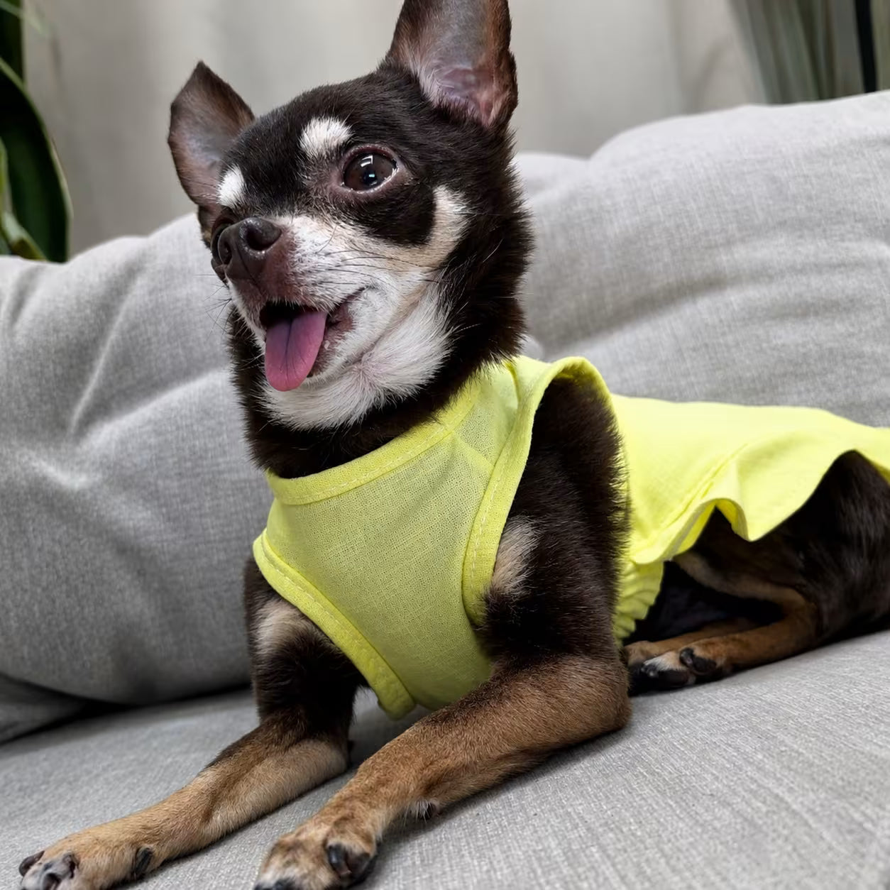 Sophie Linen Dog Dress – Breathable Summer Dress for Small Dogs