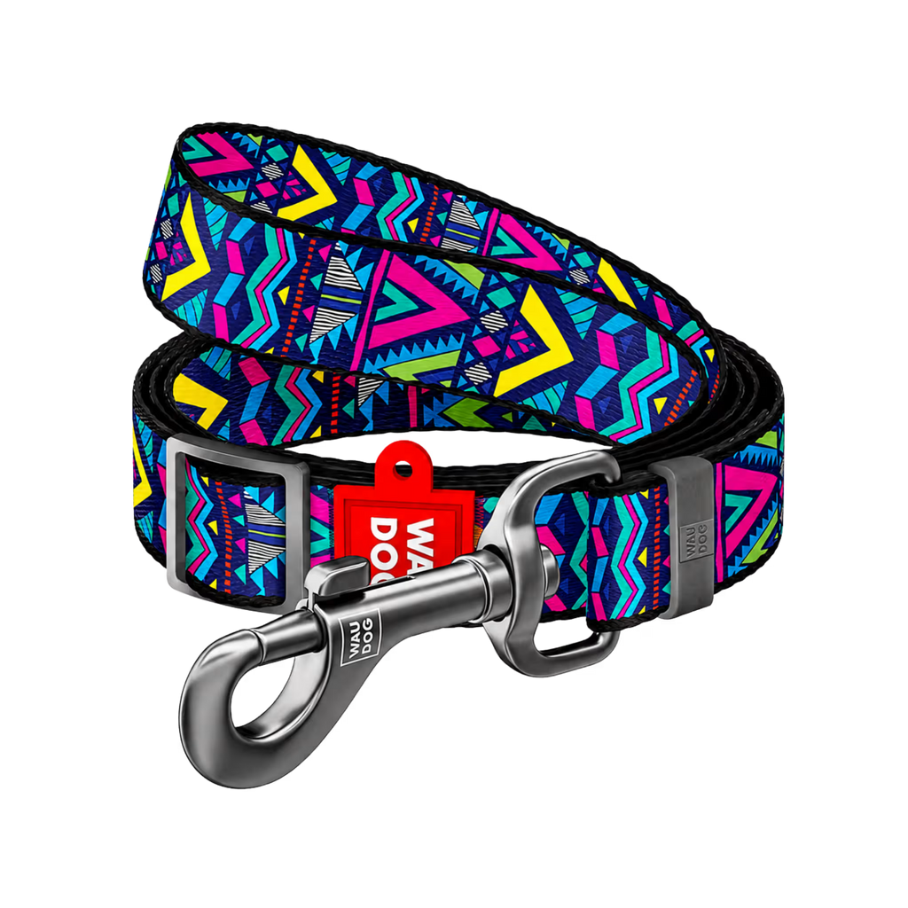Nylon Dog Leash - Indie Collection