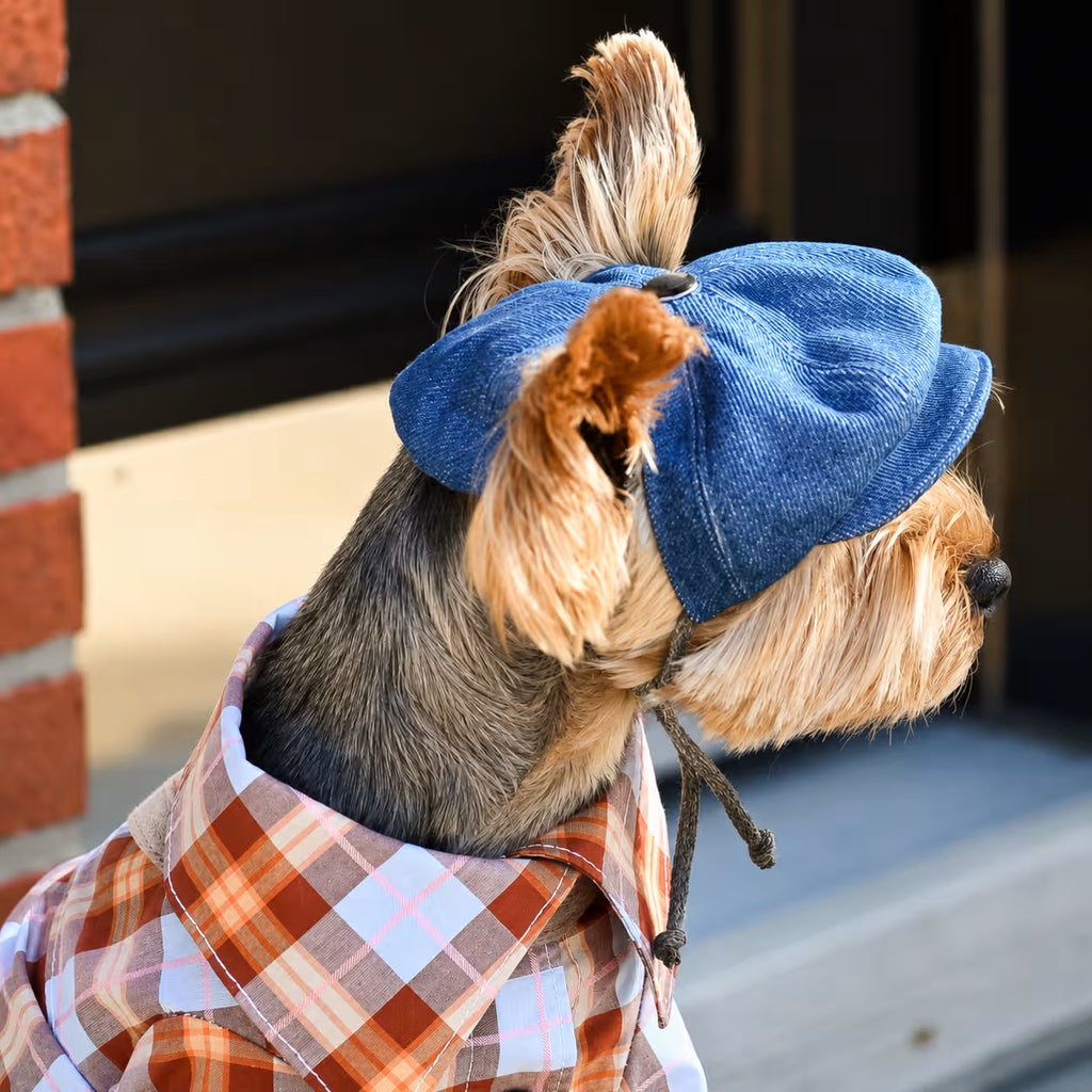 Jeans and Cap Denim Set for Small Dogs