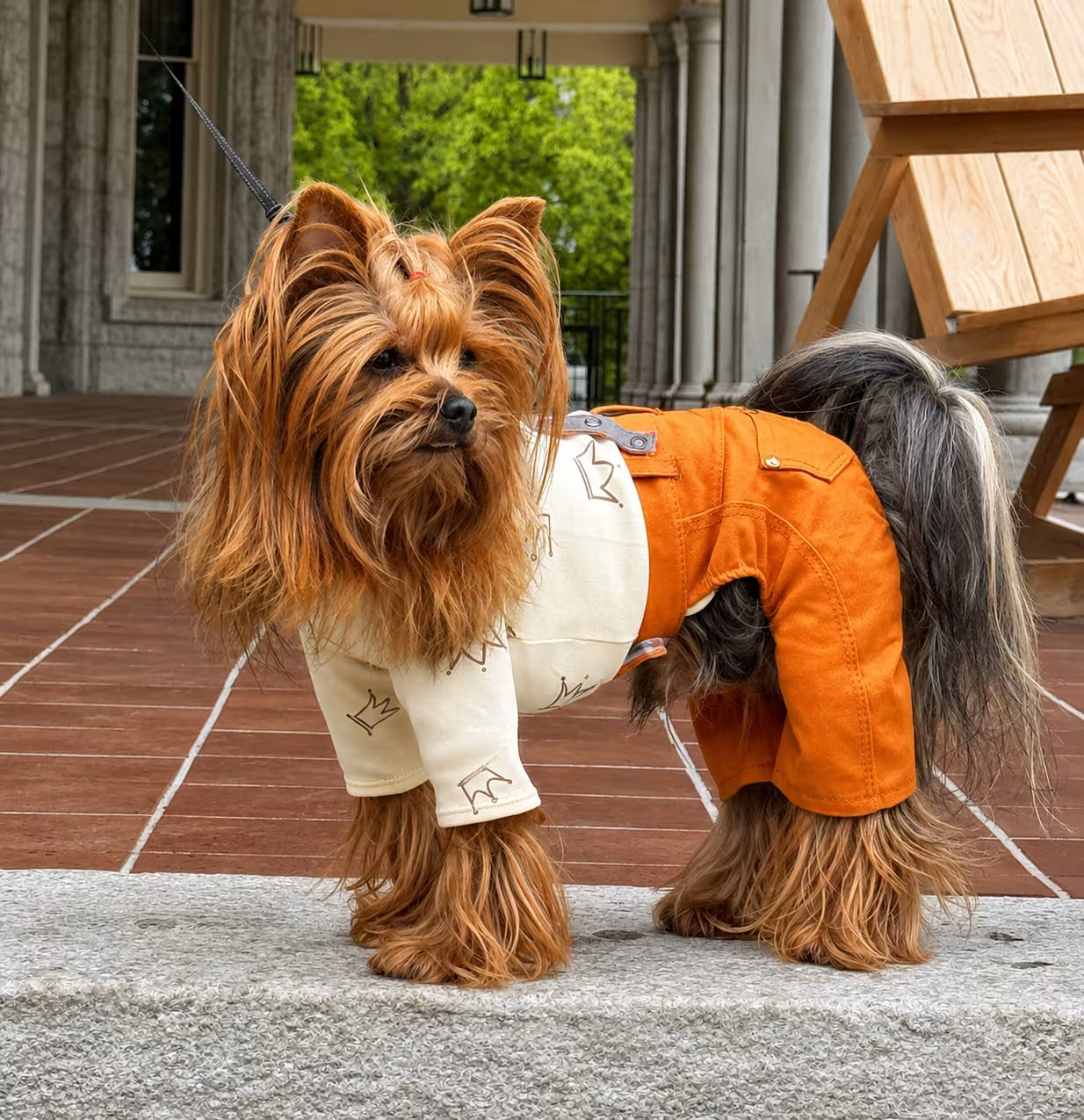 Chester Cotton Long Sleeve Dog Shirt