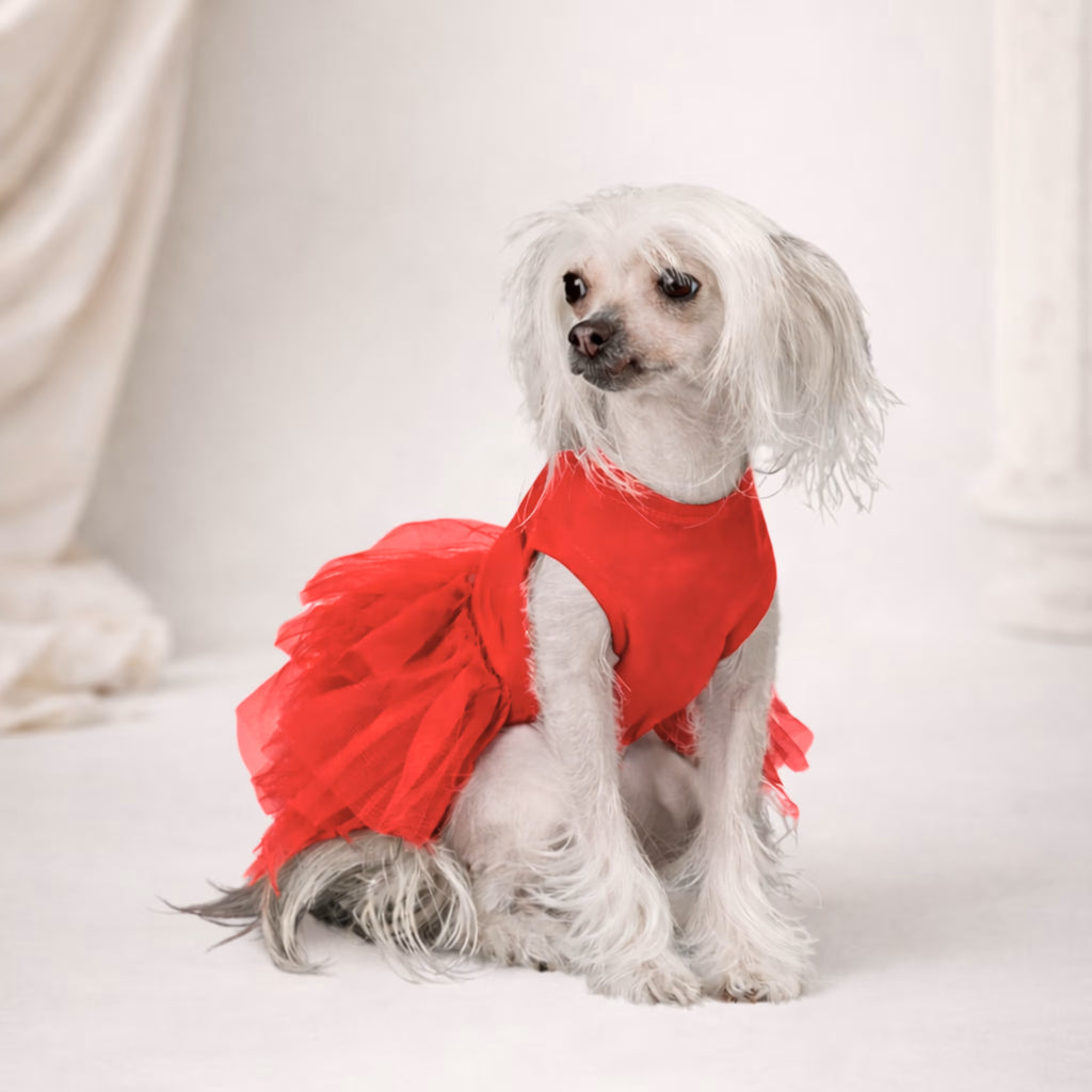 Tu-Tu Dog Dress – Soft Cotton Tulle Dress for Small Dogs