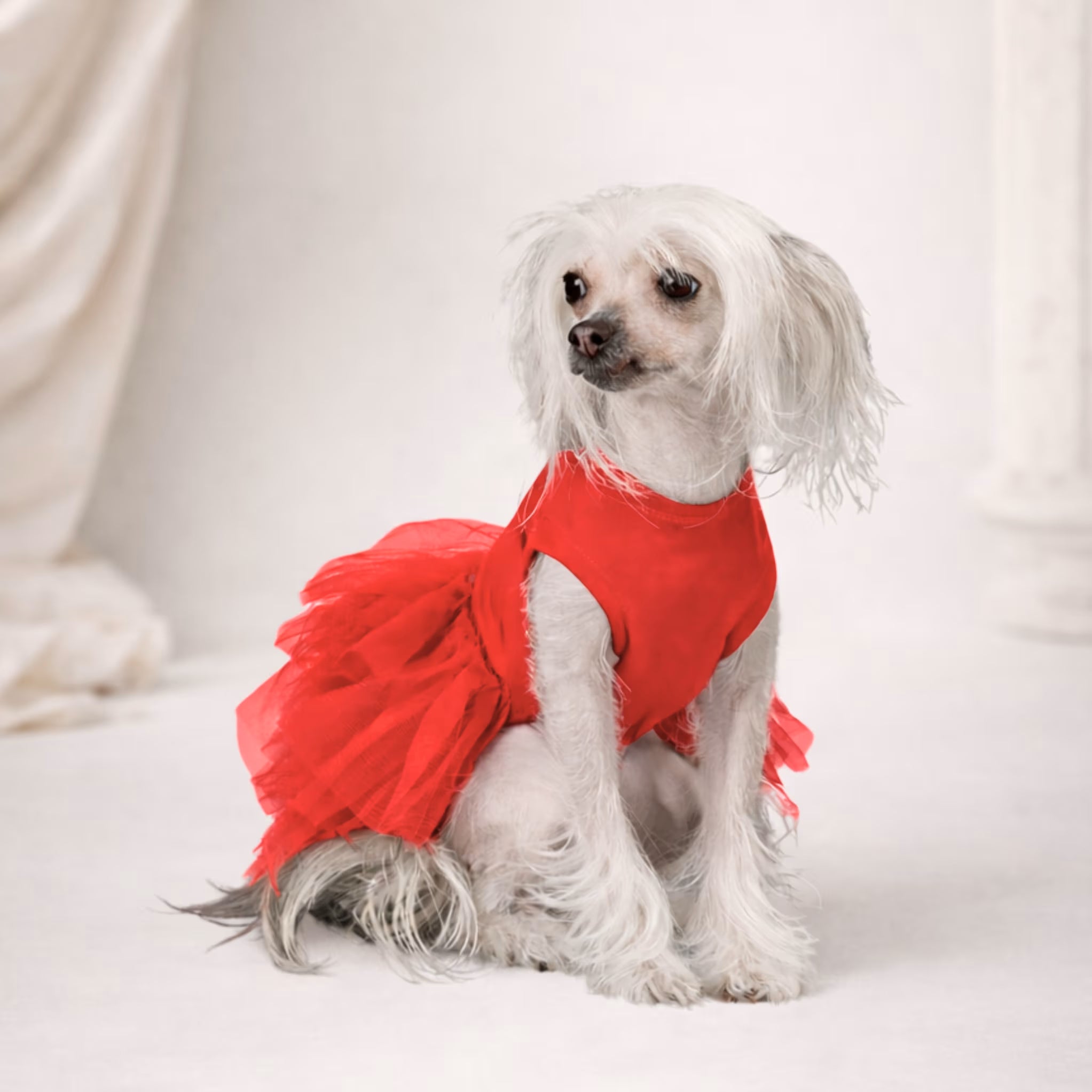 Tu-Tu Dog Dress – Soft Cotton Tulle Dress for Small Dogs
