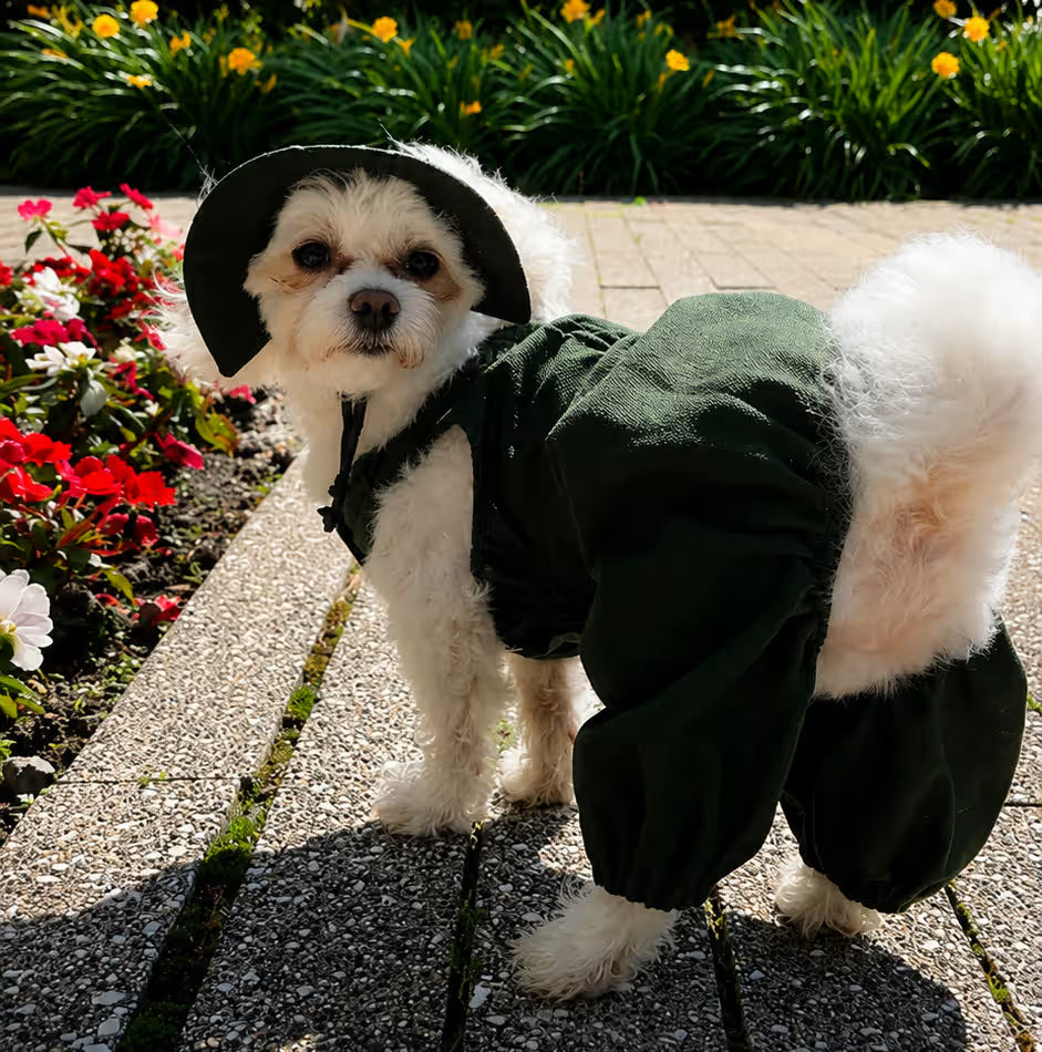 Combinaison légère d'été pour chien
