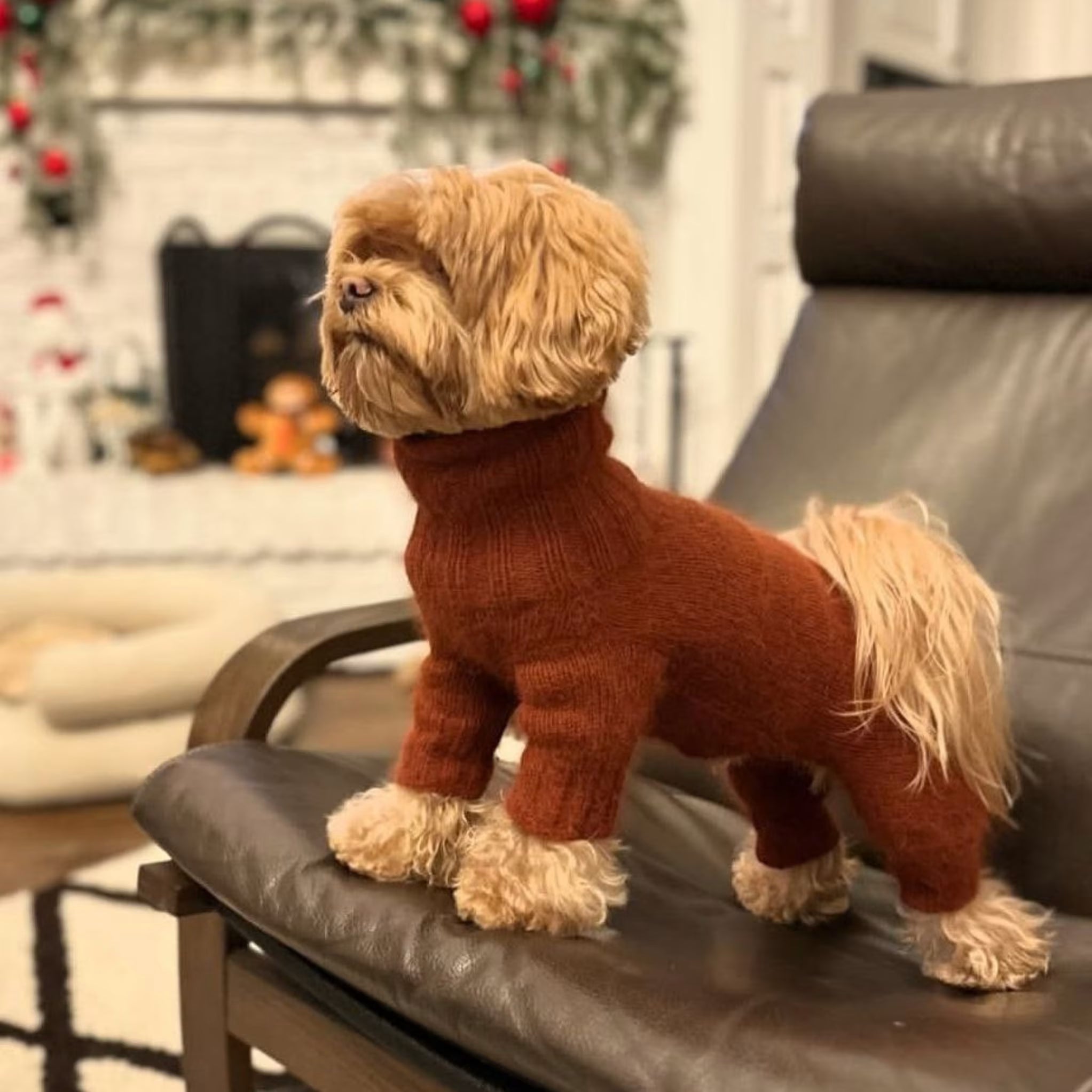 Warm Fluffy Dog Sweater