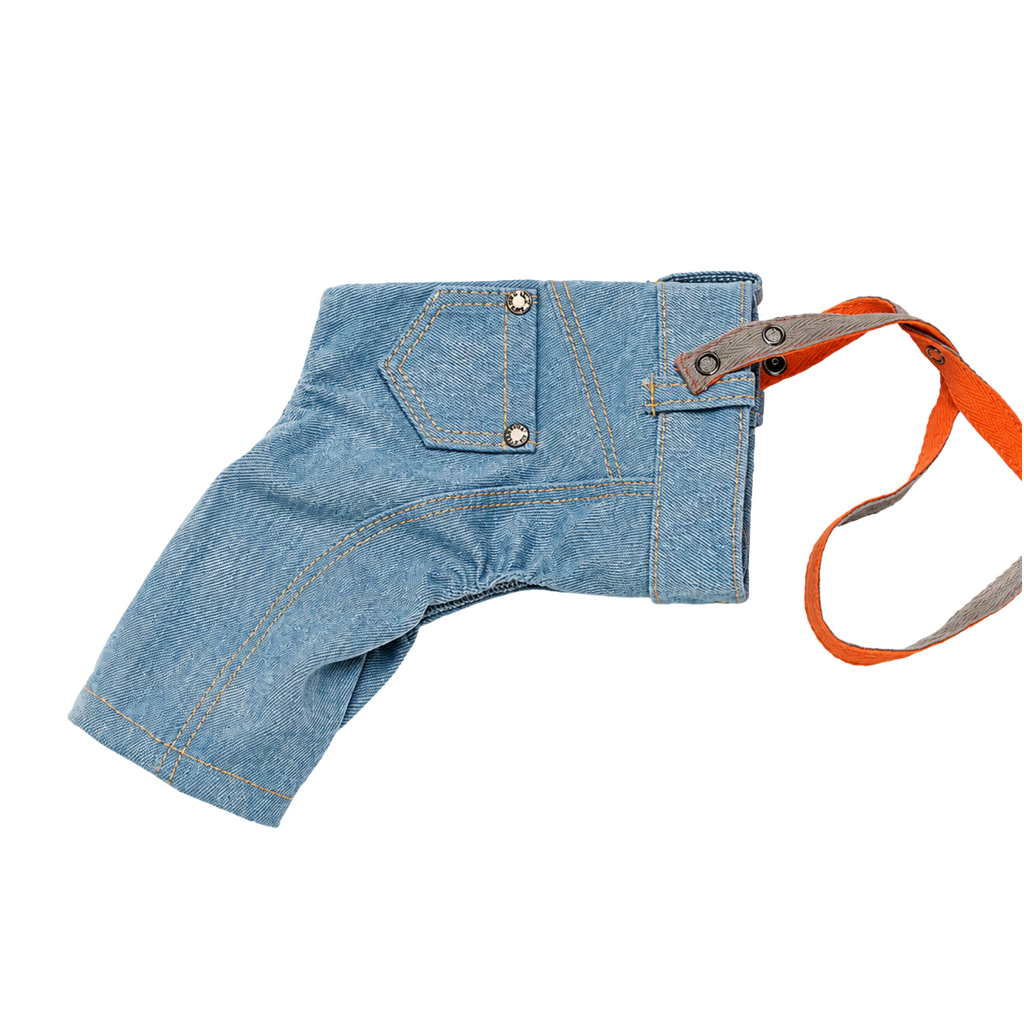 Jeans and Cap Denim Set for Small Dogs