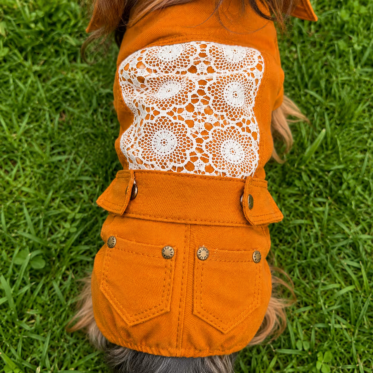 Designer Denim Dog Jacket & Pants Set with Lace