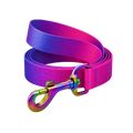 Gradient Eco Recycled Nylon Dog Leash