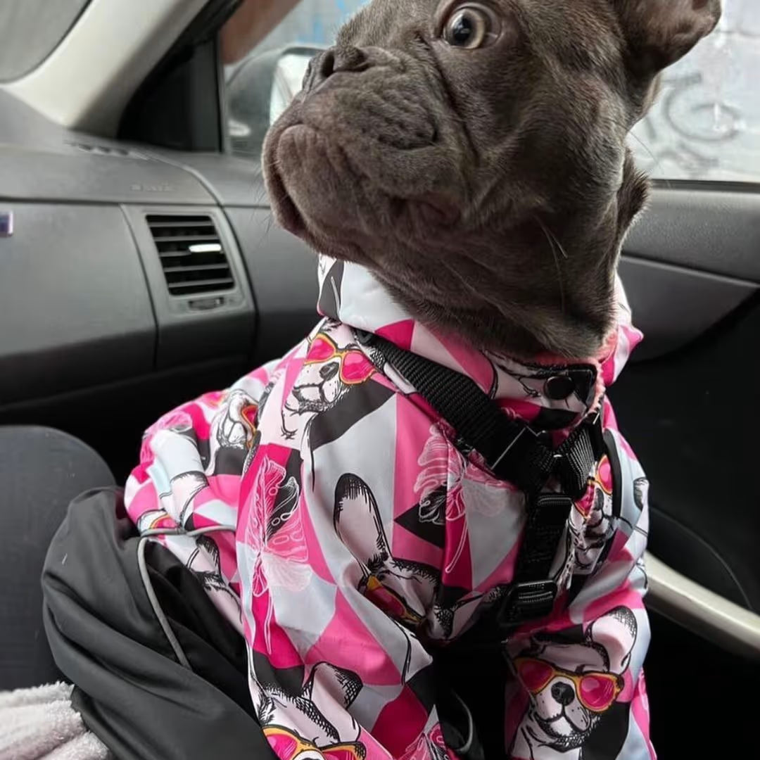 Waterproof Dog Raincoat for All-Weather Walks
