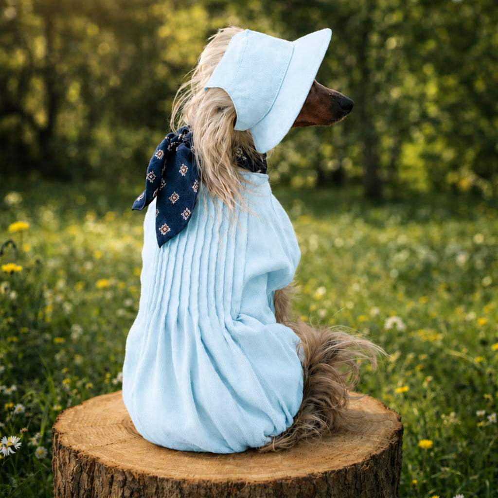 Lightweight Summer Dog Jumpsuit