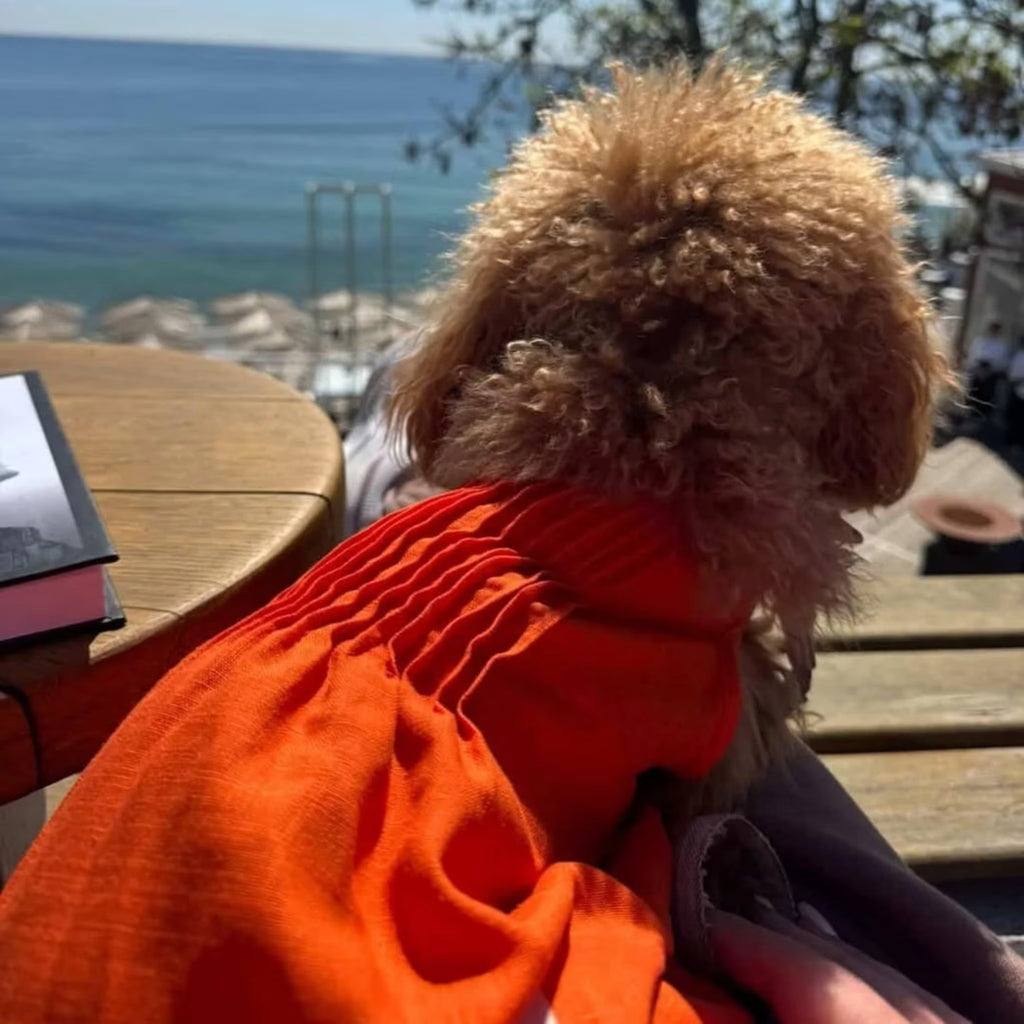 Lightweight Summer Dog Jumpsuit
