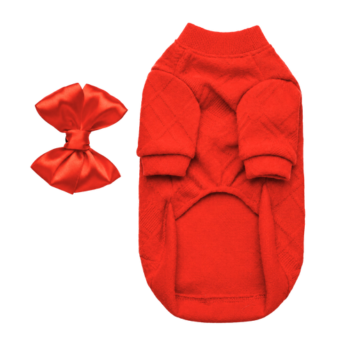 Charm Designer Dog Sweater