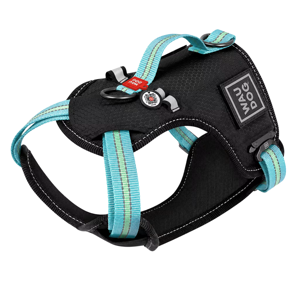 Safe Ergonomic Dog Harness with QR ID Tag