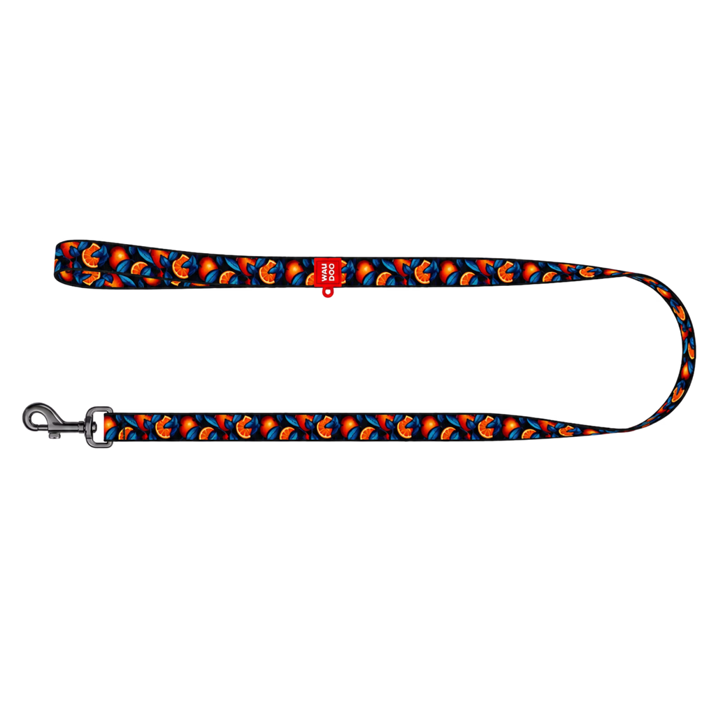 Nylon Dog Leash – Monsters & Oranges Collection