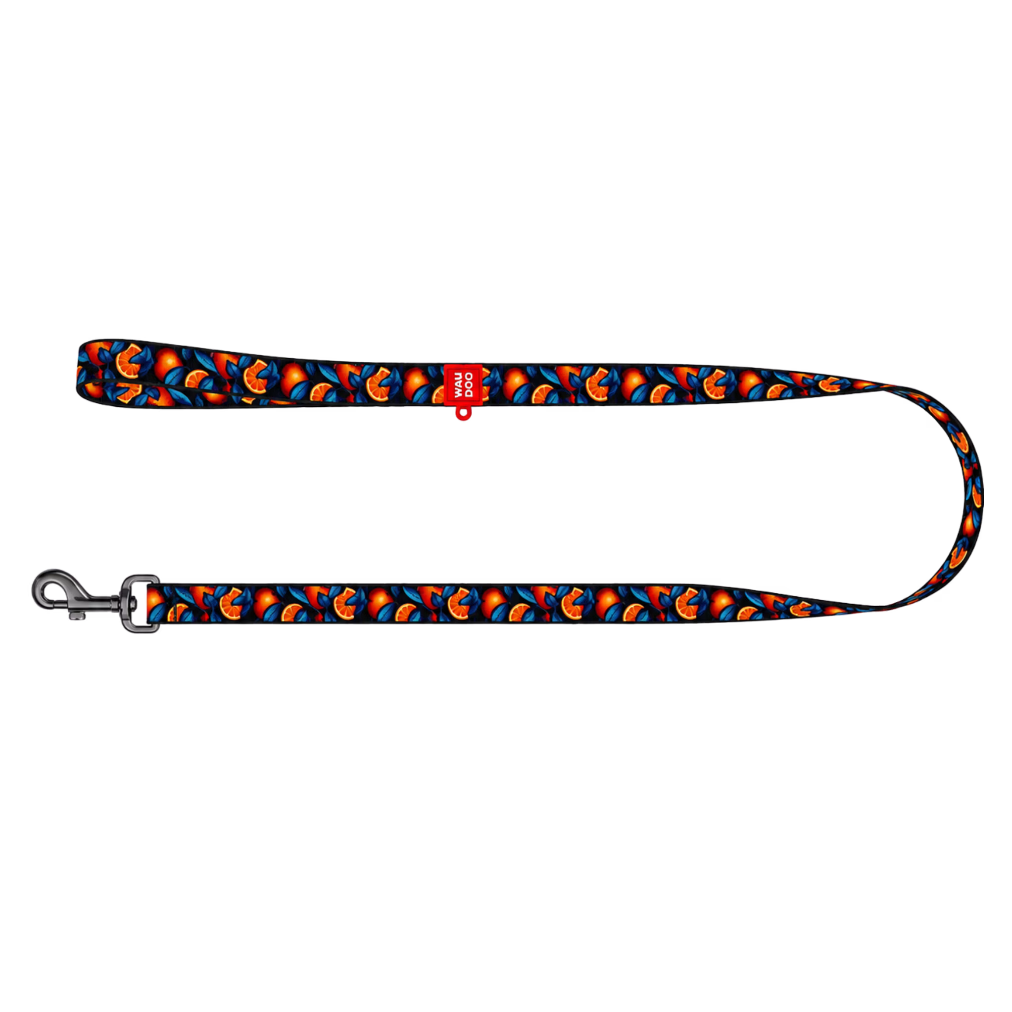 Nylon Dog Leash – Monsters & Oranges Collection