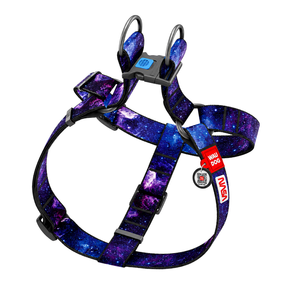 Nylon Dog Harness with Smart QR ID Tag - NASA21 Collection