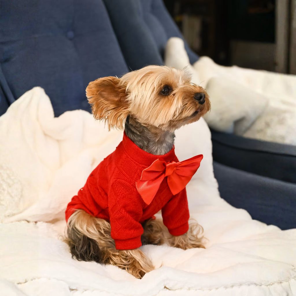 Charm Designer Dog Sweater