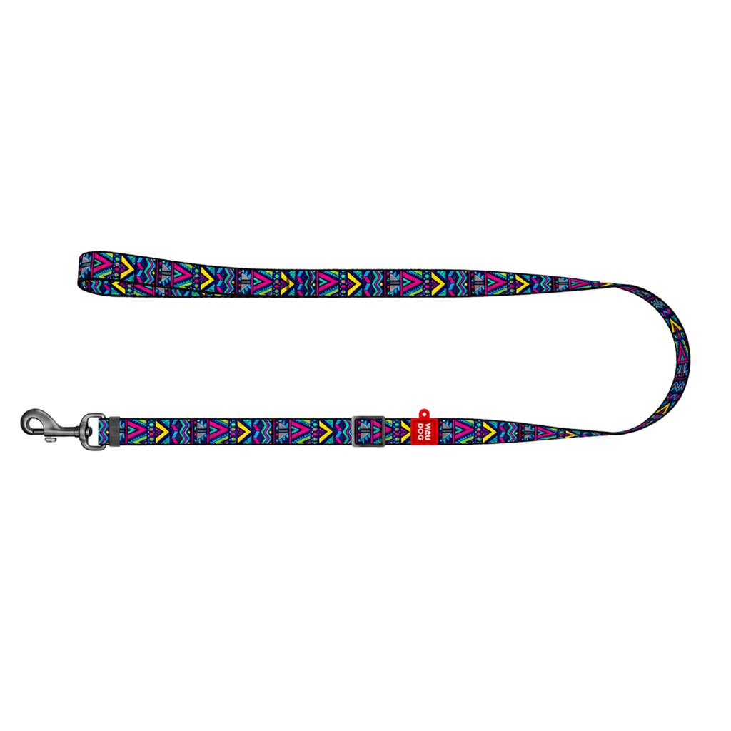 Nylon Dog Leash - Indie Collection
