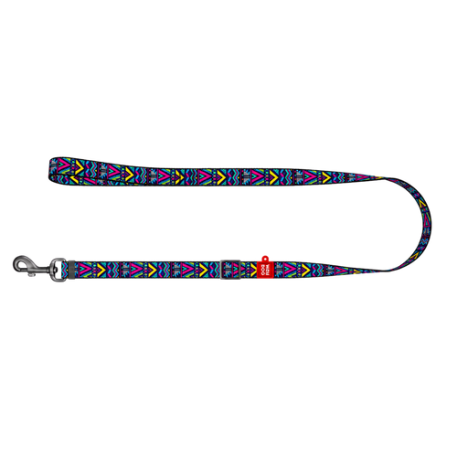 Nylon Dog Leash - Indie Collection