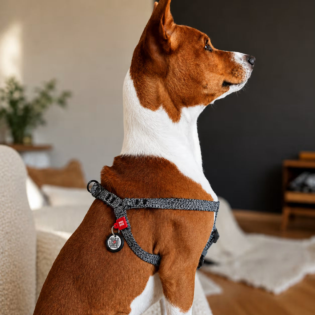 Eco Cotton Dog Harness - with Smart QR ID Tag