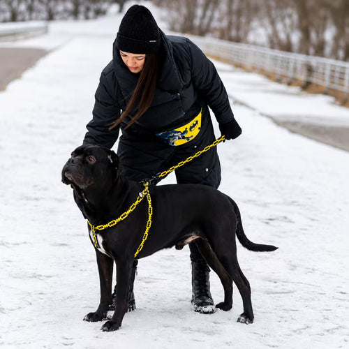 Nylon Dog Harness with Smart QR ID Tag - Batman Collection