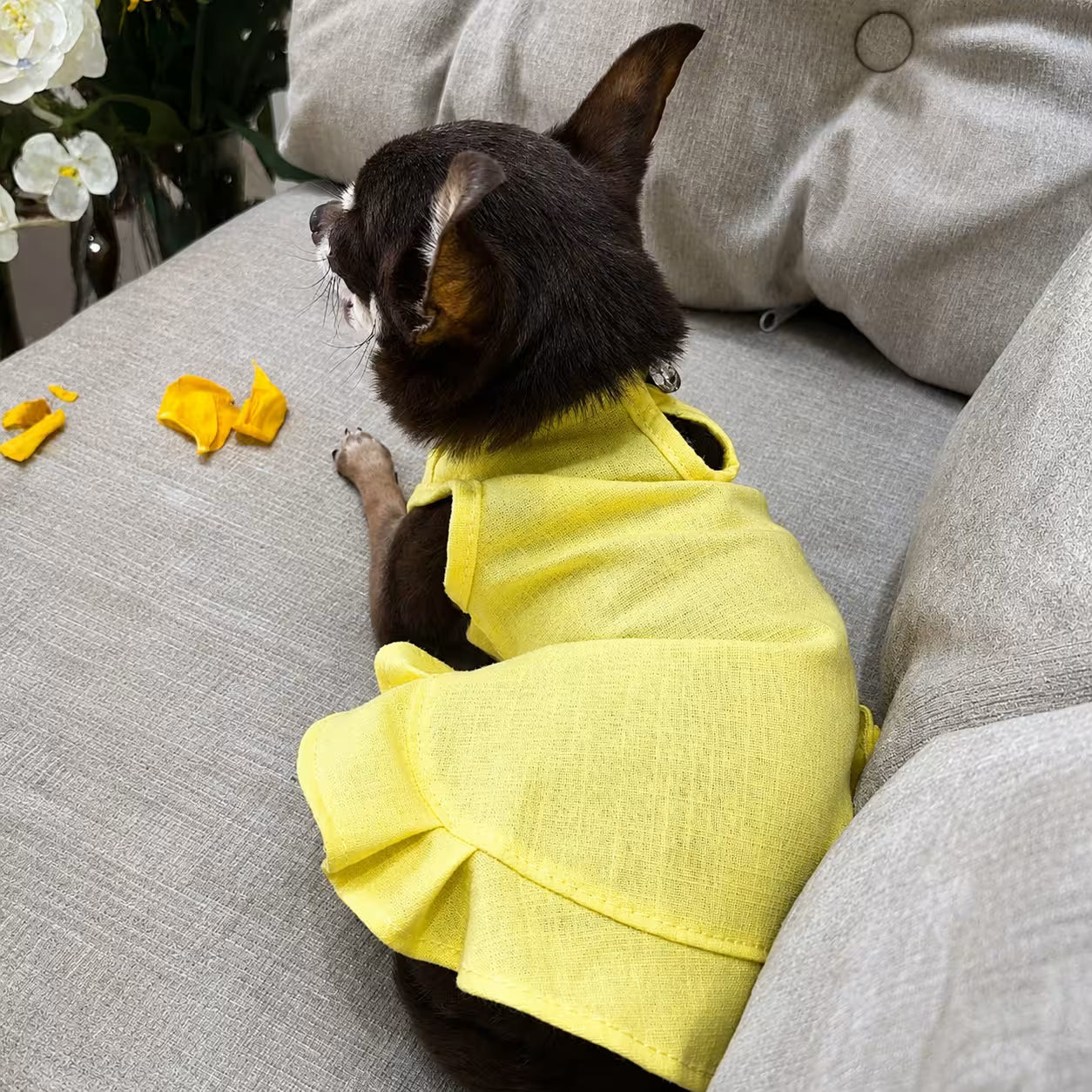 Sophie Linen Dog Dress – Breathable Summer Dress for Small Dogs