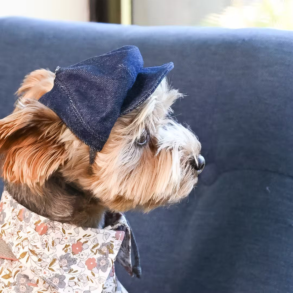 Jeans and Cap Denim Set for Small Dogs