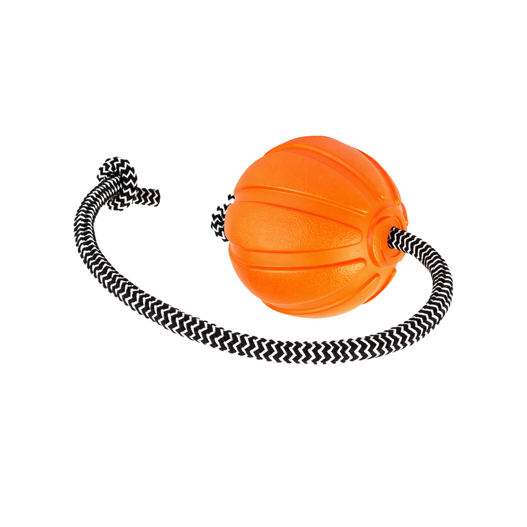LIKER Cord – Dog Ball with Rope Toy
