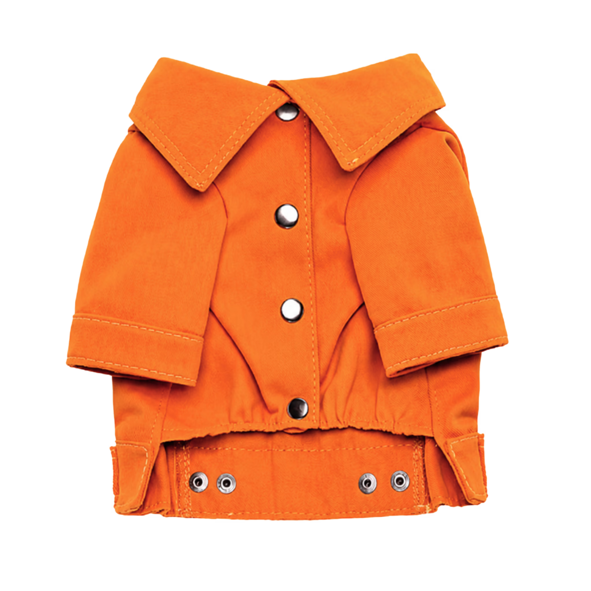 Designer Denim Dog Jacket & Pants Set with Lace