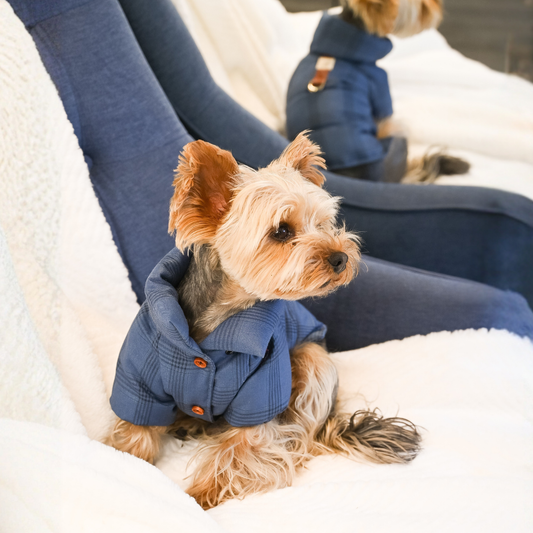 Bristol Dog Jacket — Elegant Style & Lightweight Warmth
