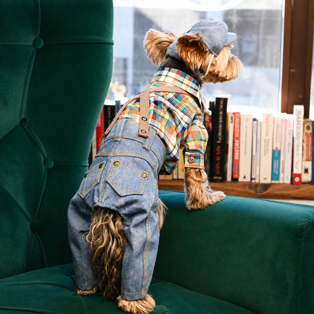 Jeans and Cap Denim Set for Small Dogs