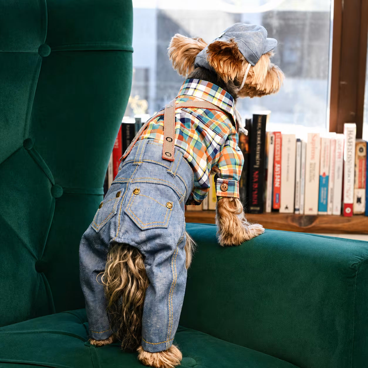 Jeans and Cap Denim Set for Small Dogs