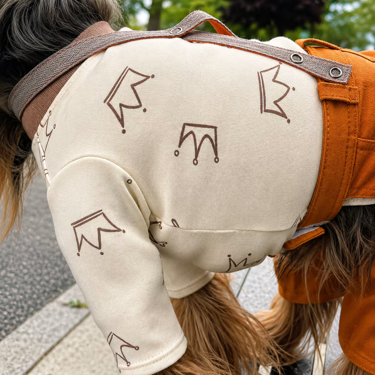 Chester Cotton Long Sleeve Dog Shirt