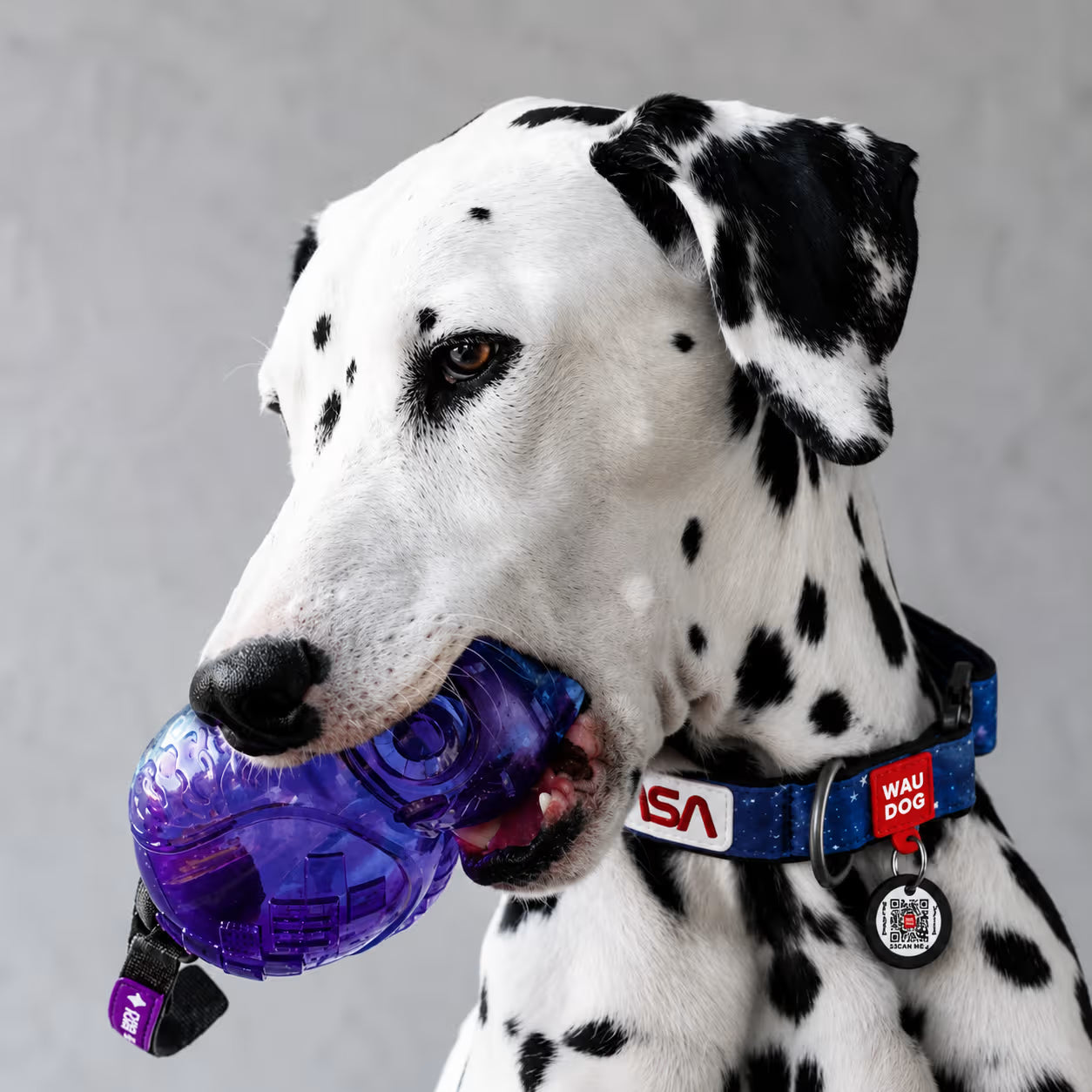 Nylon Dog Collar with Smart QR ID Tag - NASA21 Collection