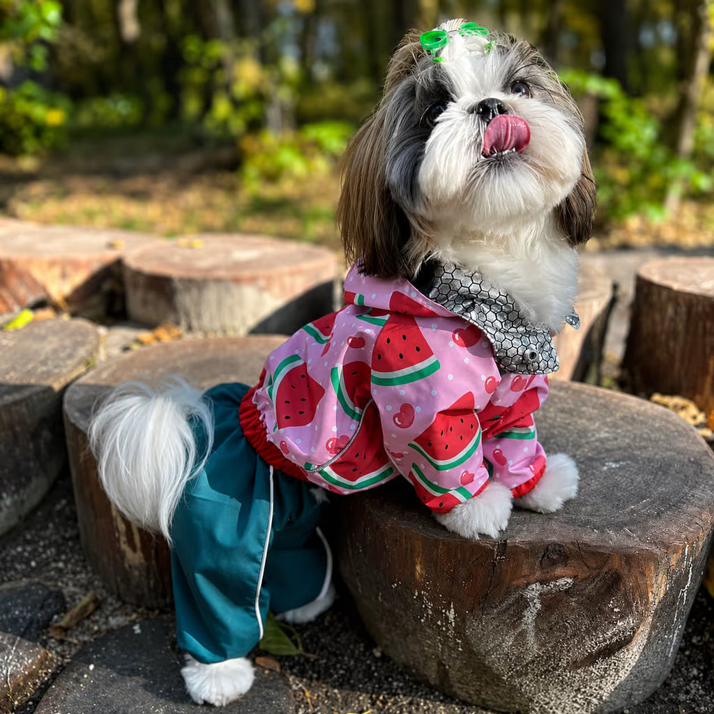 Waterproof Dog Raincoat for All-Weather Walks
