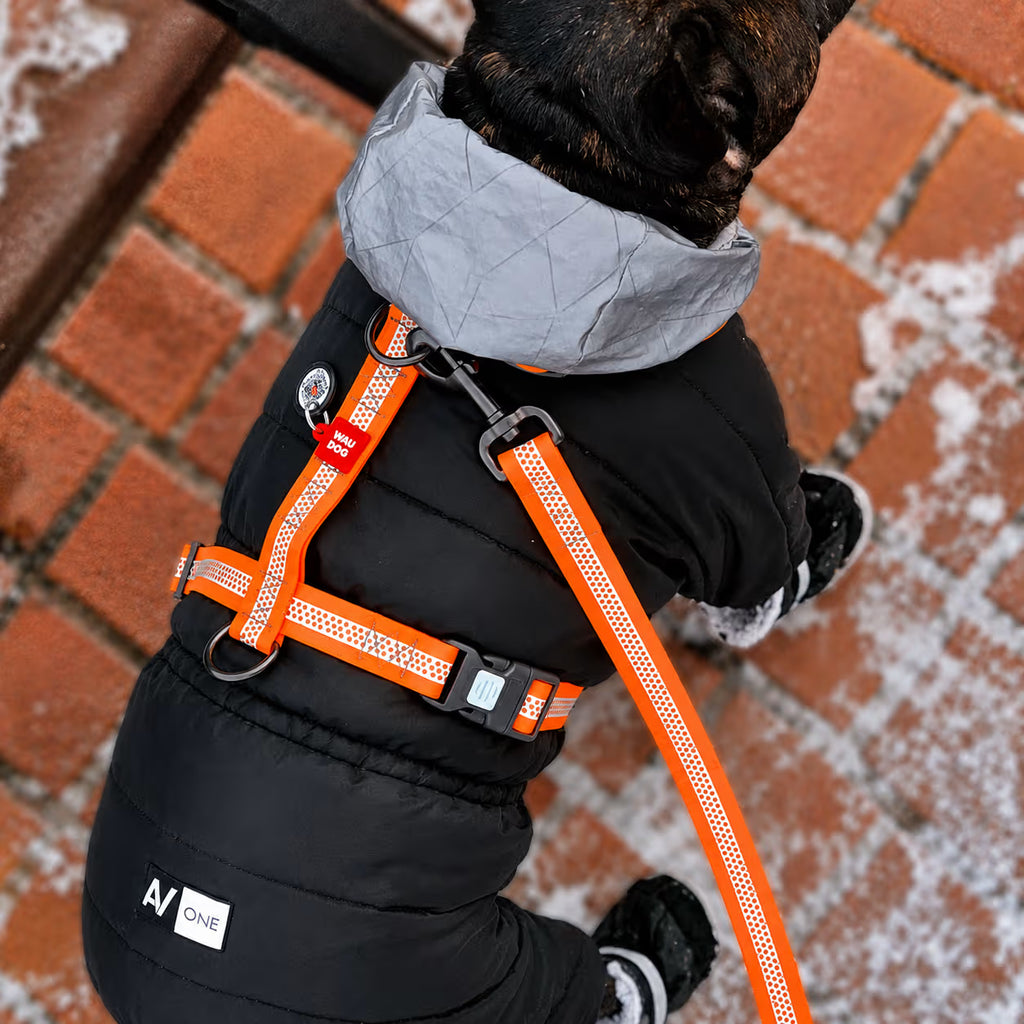 Waterproof Reflective Dog Leash with QR ID Tag