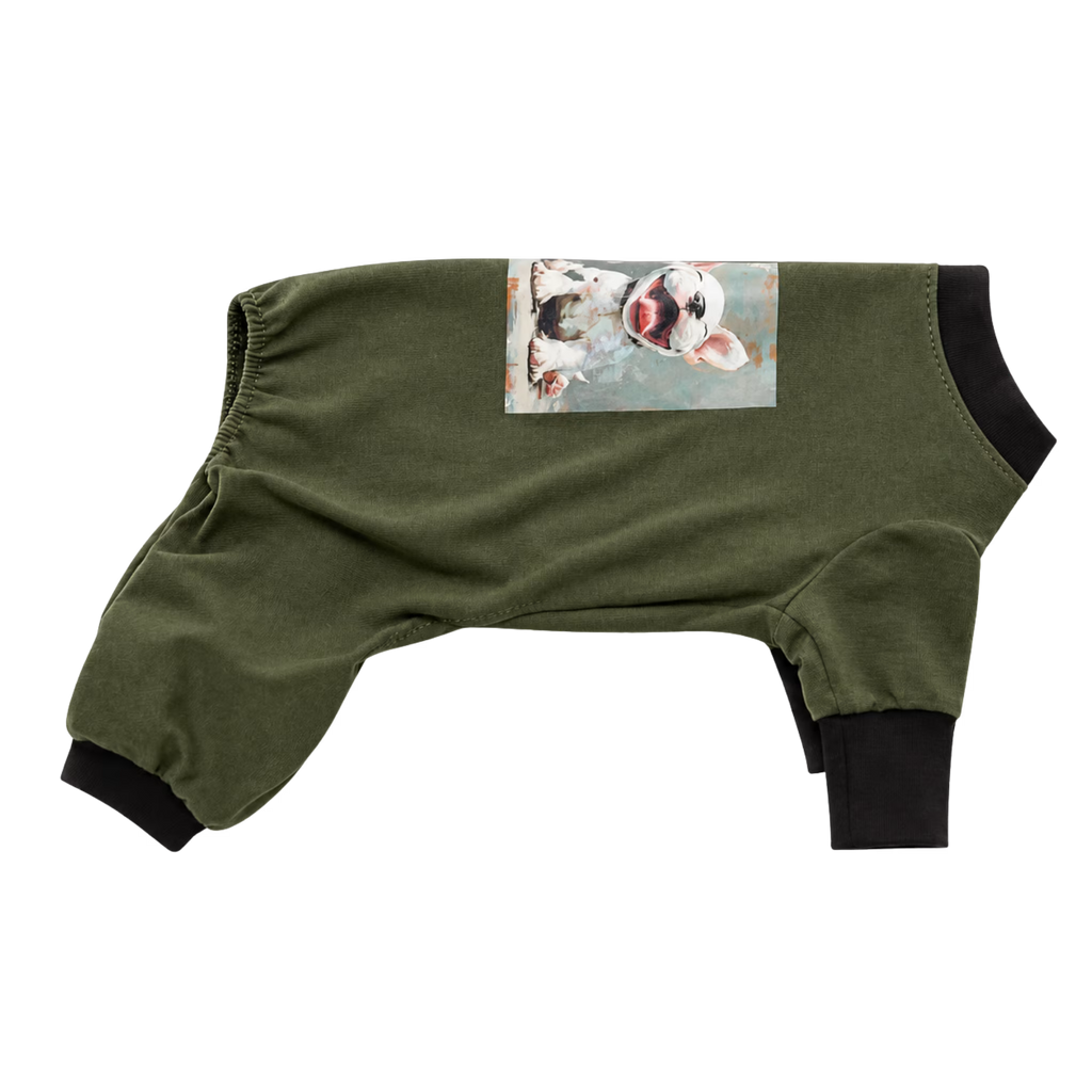 Combinaison douillette en tricot pour chien